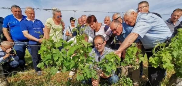 Udruga &quot;Brina&quot; posjetila istarske vinare