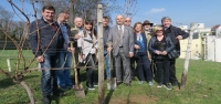 Zelina i "Zelinska kraljevina" u Mainzu
