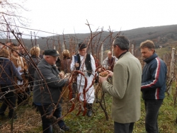 &quot;Vincekovo u Vratačama&quot;-Udruga vinogradara i vinara &quot;Brina&quot;