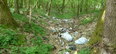 Akcija sakupljanja sitnog i glomaznog otpada s područja šume Cerovka