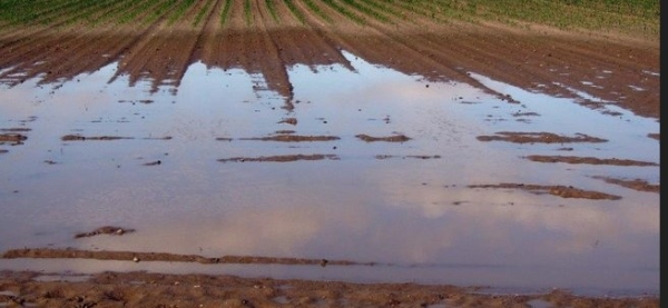 Započinje prijava štete nastale uslijed prirodne nepogode - poplave