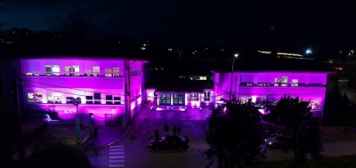 &quot;Ljubičasti dan&quot; u Svetom Ivanu Zelini