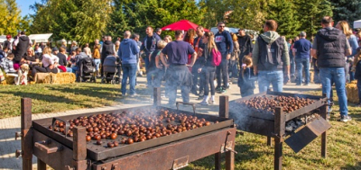 Održana 28. Zelinska kestenijada na Kladešćici