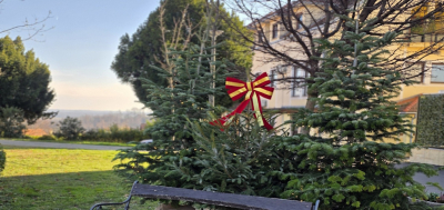 Darujmo borovima novi dom – u duhu ozelenjivanja!